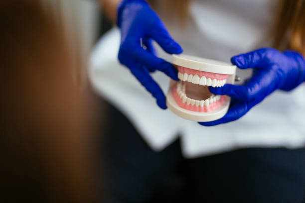 Trusted Susitna North, AK Dental Services Experts